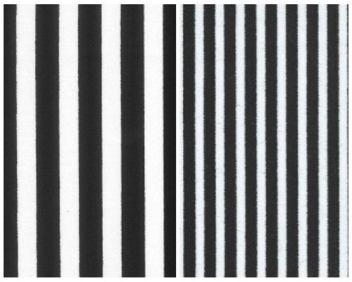 100 cotton poplin - cotton, black/white
